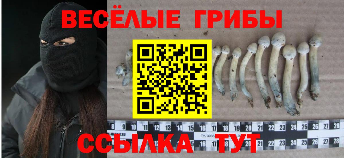 Псилоцибиновые грибы GOLDEN TEACHER Норильск